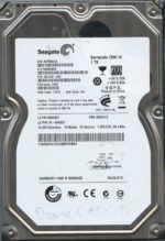 SEAGATE ST31000528AS CC66 9SL154-542 1TB