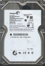 SEAGATE ST31000528AS AP24 9SL154-040 1TB