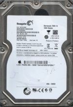 SEAGATE ST31000528AS AP4C 9SL154-046 1TB