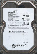 SEAGATE ST31000528AS AP4C 9SL154-046 1TB