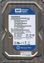 WD10EADS WMAV2 05/11 WESTERN DIGITAL 250GB