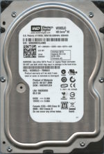 WD800JD WMAM9 10/08 WESTERN DIGITAL 80GB